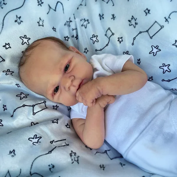 [Heartbeat💖 & Sound🔊] 17.5" Super Lovely Cute Eleride Lifelike Reborn Baby Doll Boy with Painted Hair,Best Gift for Children